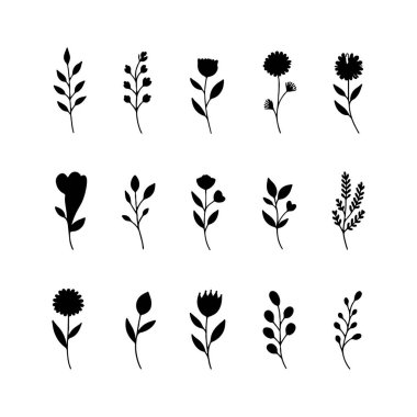 Zarif doğal kompozisyonlar için küçük yaprakları ve yuvarlak çiçekleri olan ince çizgili botanik çizimler..