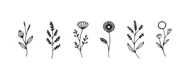 İnce çizgi çiçekli elementler elle çizilmiş, ince botanik desenler veya minimalist doğa temalı tasarımlar için idealdir..