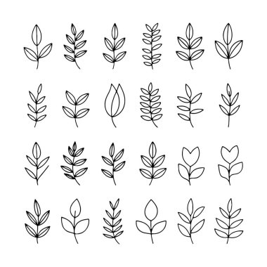 Bir ızgaraya yerleştirilmiş el yapımı yaprak illüstrasyonları. Tasarımlar, minimalist sanatsal bir yaklaşımı yansıtan basit ana hatlardan daha ayrıntılı biçimlere farklılık gösterir..
