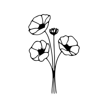 Üç gelincik çiçeği zarif bir şekilde dikilir, karmaşık yapraklarını ve ince saplarını sert bir arka planda sergilerler. Bu sanatsal tasvir doğanın güzelliğini vurguluyor..