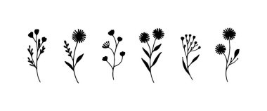 Eğlenceli şekilli ve organik dengeli, eğlence ve gelişigüzel tasarımlar için idealdir..