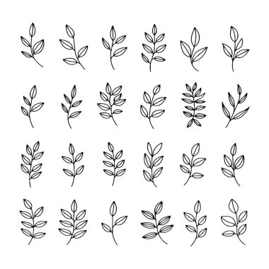 Çeşitli el yapımı yaprak tasarımları ızgara biçiminde düzenlenir. Hassas hatlar botanik bir his yaratıyor. Doğadan esinlenilmiş projeler ve sanat eserleri için mükemmel..