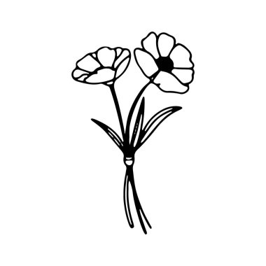 Birden fazla taç yaprağı olan iki çiçek ince yeşil yapraklarla dimdik ayakta duruyor. Tasarım, doğanın güzelliğini minimalist bir tarzda sergiliyor. Dekorasyon ve sanat projeleri için mükemmel..