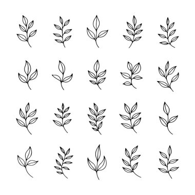 Bu koleksiyon, bir ızgarada sıralanmış siyah çizgi sanat tarzında çeşitli yaprak anahatlarını içerir. Her yaprak tasarım projeleri için uygun benzersiz şekiller ve ayrıntılar sergiler.