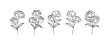 Hassas çizgi sanatı, tomurcukları ve çiçekleri olan, karmaşık ayrıntıları ve zarif sapları olan çeşitli çiçeklerden oluşan bir dizi içerir. Bu tasarım basit ama zarif bir estetik sunuyor..