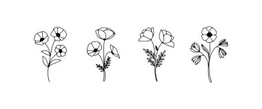 Ayrıntılı çizgi çizimlerinde her biri eşsiz şekil ve dokulara sahip dört farklı çiçek çeşidi gösteriliyor. Çiçekler güzelliklerini ve çeşitliliklerini vurgulamak için zarif bir şekilde düzenlenmiş..