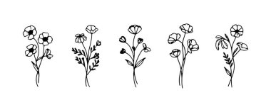 Zarif çiçek tasarımları, sanatsal olarak düzenlenmiş, ayrıntılı çizgilerle farklı tipte çiçekleri betimler..