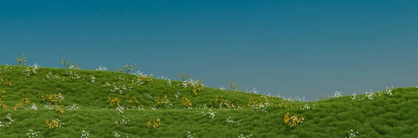 Een Grazige Heuvel Met Bloemen Erop Een Blauwe Lucht Achtergrond — Stockfoto