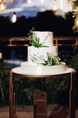 Gelin ve damadın düğün pastası ve meyve. Yüksek kalite fotoğraf