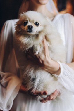 Süslü, dantelli, beyaz elbiseli, elinde küçük beyaz bir köpek olan güzel, güzel bir kız. Yüksek kalite fotoğraf