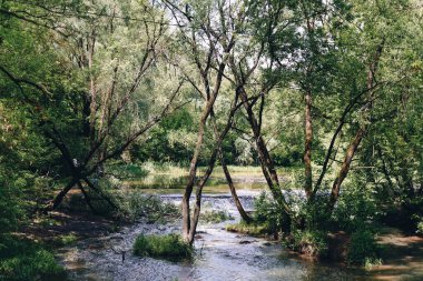 beautiful landscape with a small waterfall in a forest with stone terrain. High quality photo