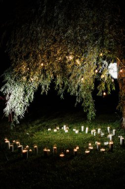 Büyük ağaçta bir sürü lamba ve mum olan bir gece düğünü. Yüksek kalite fotoğraf