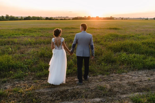 新婚夫妇手牵手 在夕阳西下的田野小径上漫步 沐浴在金色的阳光下 新娘穿着华丽的流苏散步 — 图库照片
