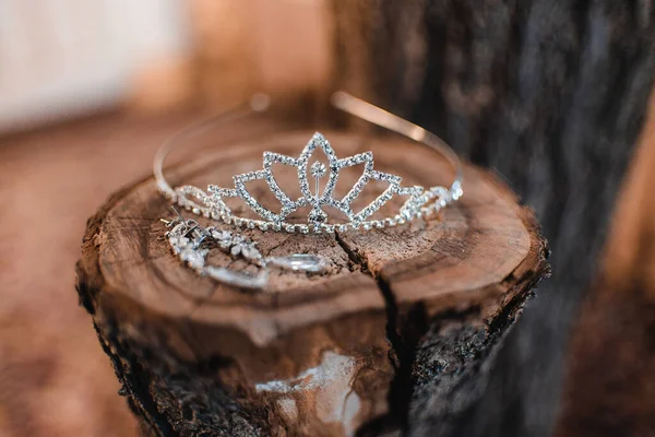 wedding diadem and earring on wood. High quality photo