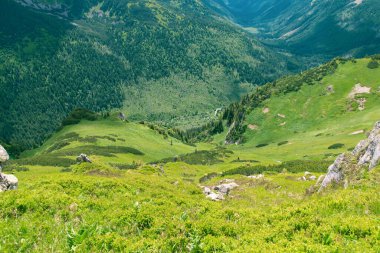 Güzel dağ manzarası. Vadinin yukarıdan aşağı manzarası. Doğal arka plan. Tatra Dağları, Polonya.