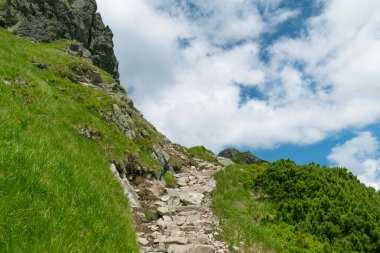 Dağlardaki taş patika. Yazın dağlarda yürüyüş. Yaz tatilleri, turizm. Tatras, Polonya