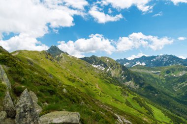 Yazın güzel dağ manzarası. Yeşil çimenler, yüksek kayalar, mavi gökyüzü ve beyaz bulutlar. Doğal arka plan. Tatra Dağları, Polonya.