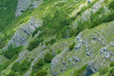 Bir dağın kayalık yamacı. Tatra Dağları, Polonya 'da yaz manzarası.