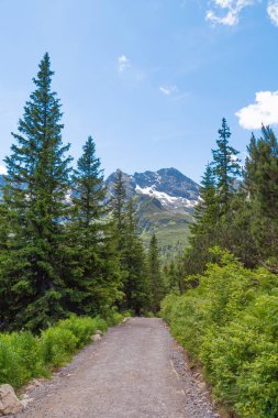 Dağlarda yol var. Tatras, Polonya 'da yaz manzarası. Yürüyüş, aktif dinlenme.