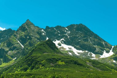 Polonya 'nın Tatra Dağları' ndaki güzel yaz manzarası. Hala Gasienicowa 'ya bir gezi.
