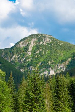 Polonya 'nın Tatra Dağları' ndaki güzel yaz manzarası. Hala Gasienicowa 'ya bir gezi.