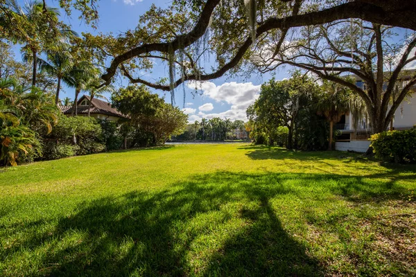 stock image Empty lot with short grass facing the New River in Fort Lauderdale in Miami, trees, palms and tropical shrubs