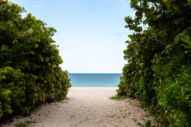 Miami Sahili Surfside Sahili manzarası, kum, durgunluk ve dinginlik, turkuaz deniz mavisi gökyüzü,