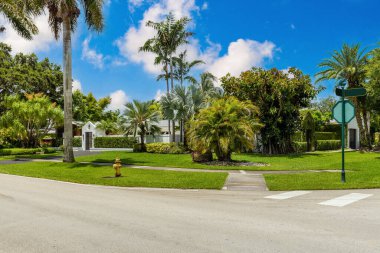 Beautiful facade of a luxury mansion located in Pinecrest, Miami-Dade with a vine on the wall, surrounded by trees and palms, short grass, driveway, front door, green, street and blue sky