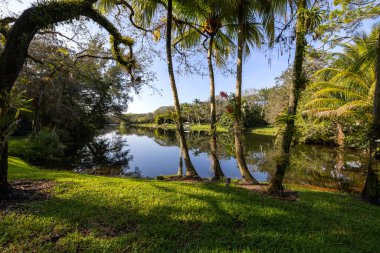 Coral Gables 'taki zarif koloni tarzı malikanenin bahçesi göz kamaştırıcı, bol bitki örtüsü, çocuk oyun alanı, heykeller, detaylara özen gösteren bir park, dış mobilyalar ve cazibe veren yapay bir lagün.