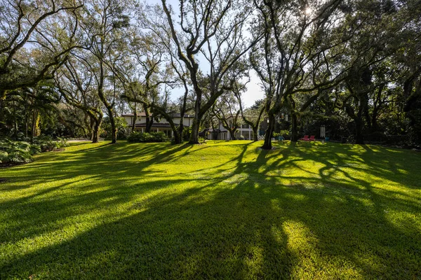 stock image The garden of the elegant colonial-style mansion in Coral Gables is simply stunning, with abundant vegetation, a children's play area, with statues, a park with attention to detail, outdoor furniture, and an artificial lagoon that gives charm