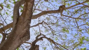 Florida, ABD 'de bulunan ve modern mimari tasarım ve geliştirmenin sergilendiği çağdaş şehir manzaralı ev binası..