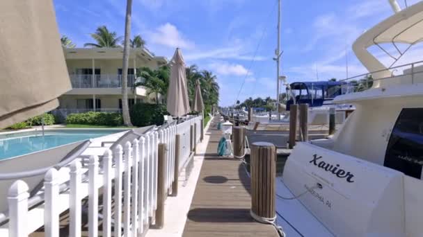 Florida Usa Modern Building Swimming Pool Trees Chairs Urban Landscape — стокове відео