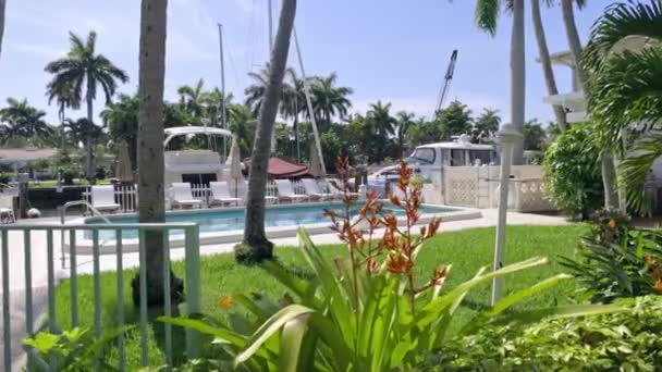 Florida Usa Modern Building Swimming Pool Trees Chairs Urban Landscape — Videoclip de stoc
