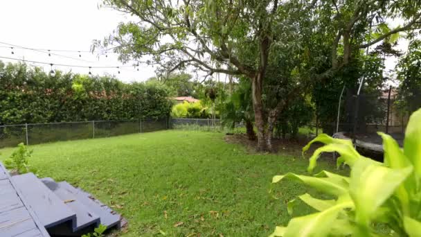 Florida Usa Modern Building Swimming Pool Trees Chairs Urban Landscape — Vídeo de Stock
