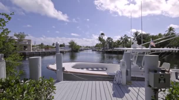 Floride États Unis Immeuble Moderne Avec Piscine Arbres Chaises Paysage — Video