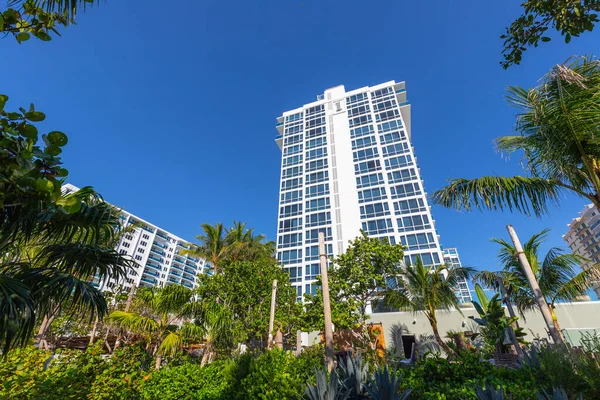 Miami Beach Florida Abril Vista Playa Con Edificio Lujo Palmeras — Foto de Stock