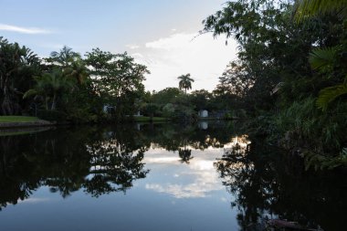 Yüzme havuzlu, ağaçlı, sandalyeli modern bir bina. Mavi gökyüzü, yansıtan havuz ve okyanus, şehir mimarisi ve ABD 'nin Florida kentindeki manzaralı çevre..
