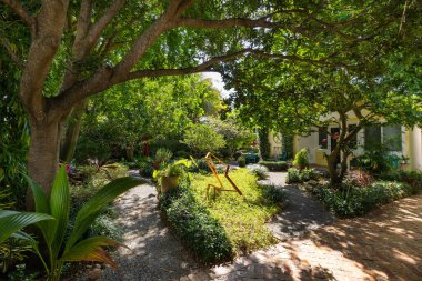 Bahçede yüzme havuzu, ağaçlar, sandalyeler. Mavi gökyüzü, yansıtan havuz ve okyanus, şehir mimarisi ve Florida manzaralı çevre, Usa.