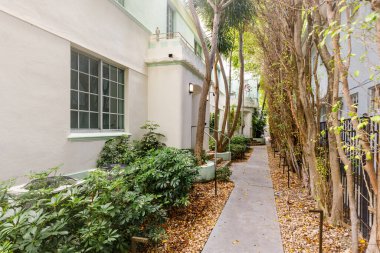 Florida, ABD 'deki ön kapı bahçesi. Bulutlu berrak Mavi Gökyüzü, Armonik bir atmosfer oluşturan bir sürü ağaçlı doğal bereketli bitki örtüsü.