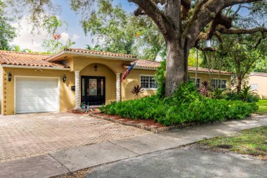 Florida, ABD 'deki ön kapı bahçesi. Bulutlu berrak Mavi Gökyüzü, Armonik bir atmosfer oluşturan bir sürü ağaçlı doğal bereketli bitki örtüsü.