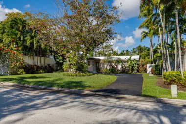 Florida, ABD 'deki ön kapı bahçesi. Bulutlu berrak Mavi Gökyüzü, Armonik bir atmosfer oluşturan bir sürü ağaçlı doğal bereketli bitki örtüsü.
