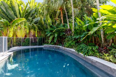 Bereketli bitki ve ağaçlarla çevrili bir havuz.