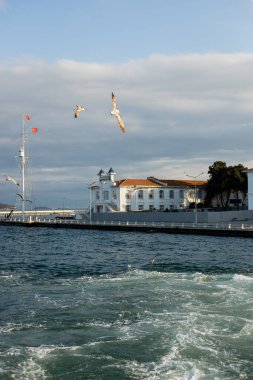 İstanbul 'da mavi deniz ve iskele üzerinde uçan martılar 