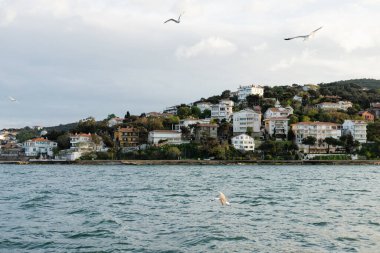 İstanbul kıyılarındaki farklı evlerin yakınında, mavi denizin üzerinde uçan martılar 