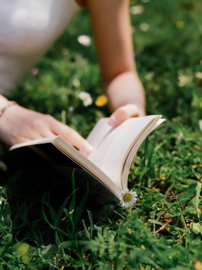 Bulanık manzaralı, elinde papatyalarla çayırda kitap tutan kadın. 