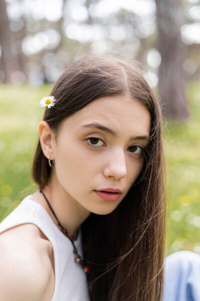 Portrait of brunette woman with daisy in hair looking at camera in park 