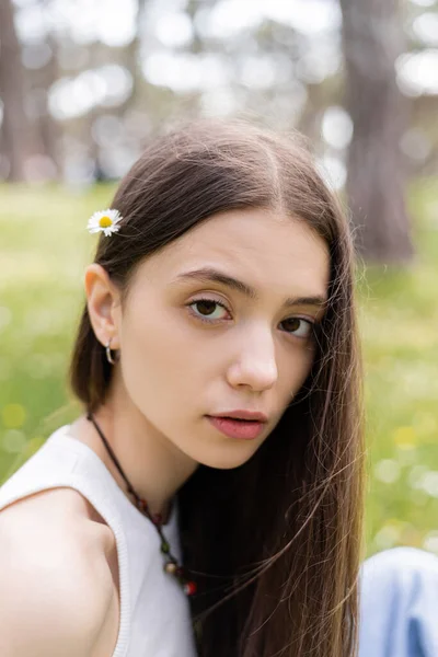 Porträt einer brünetten Frau mit Gänseblümchen im Haar, die im Park in die Kamera schaut — Stockfoto