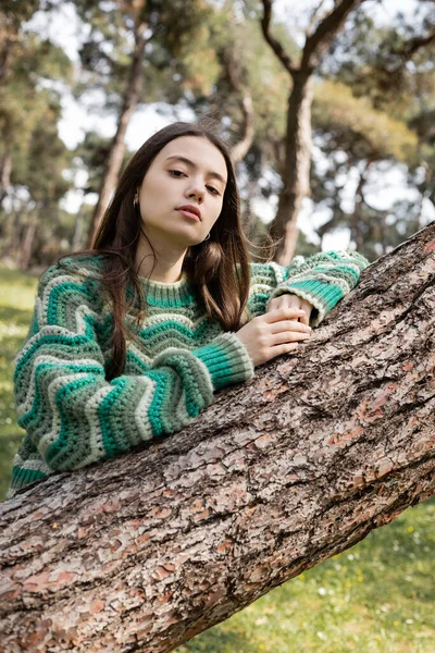Retrato de jovem mulher em suéter olhando para a câmera perto da árvore no parque turvo — Fotografia de Stock