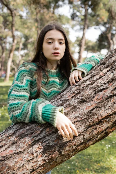 Jovem morena em suéter olhando para a câmera perto de tronco de árvore no parque de verão — Fotografia de Stock