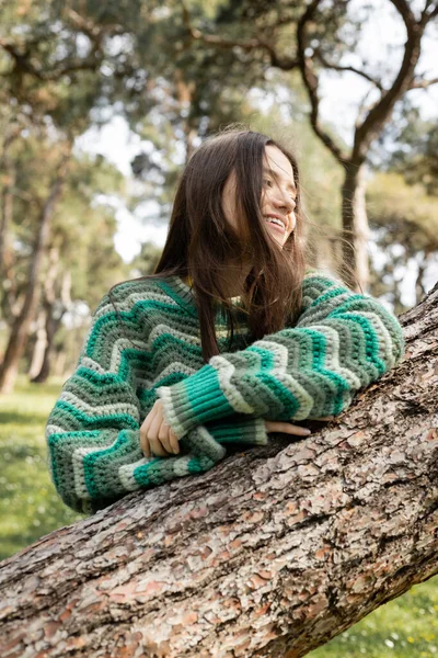 Mulher feliz em camisola de malha olhando para longe perto do tronco da árvore no parque de verão — Fotografia de Stock
